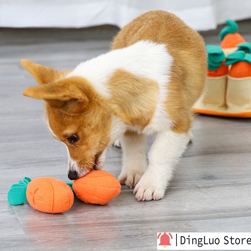 Carrot Patch Snuffle Feeding Toy for Dog