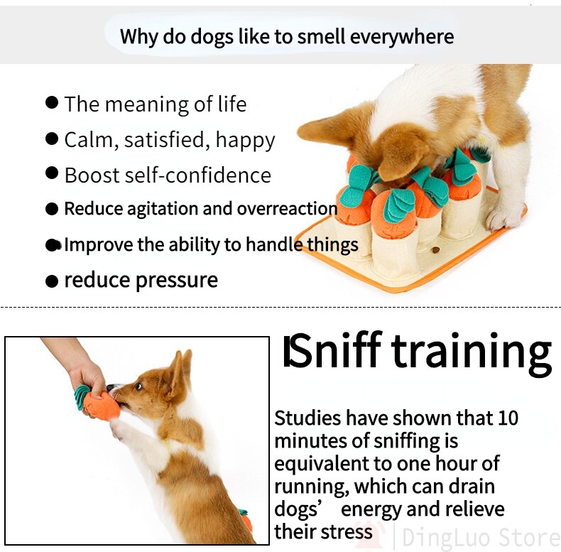 Carrot Patch Snuffle Feeding Toy for Dog
