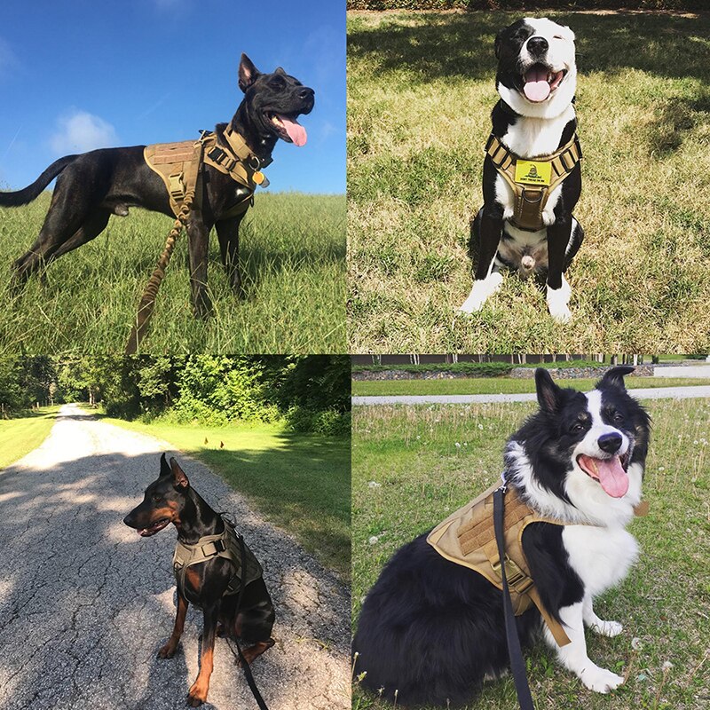 Tactical No Pull Dog Harness